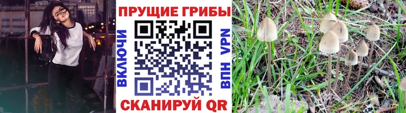 Галлюциногенные грибы прущие грибы Белая Холуница